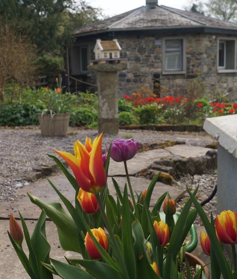 The Old Rectory Donard Apartment Dun Ard Exterior foto